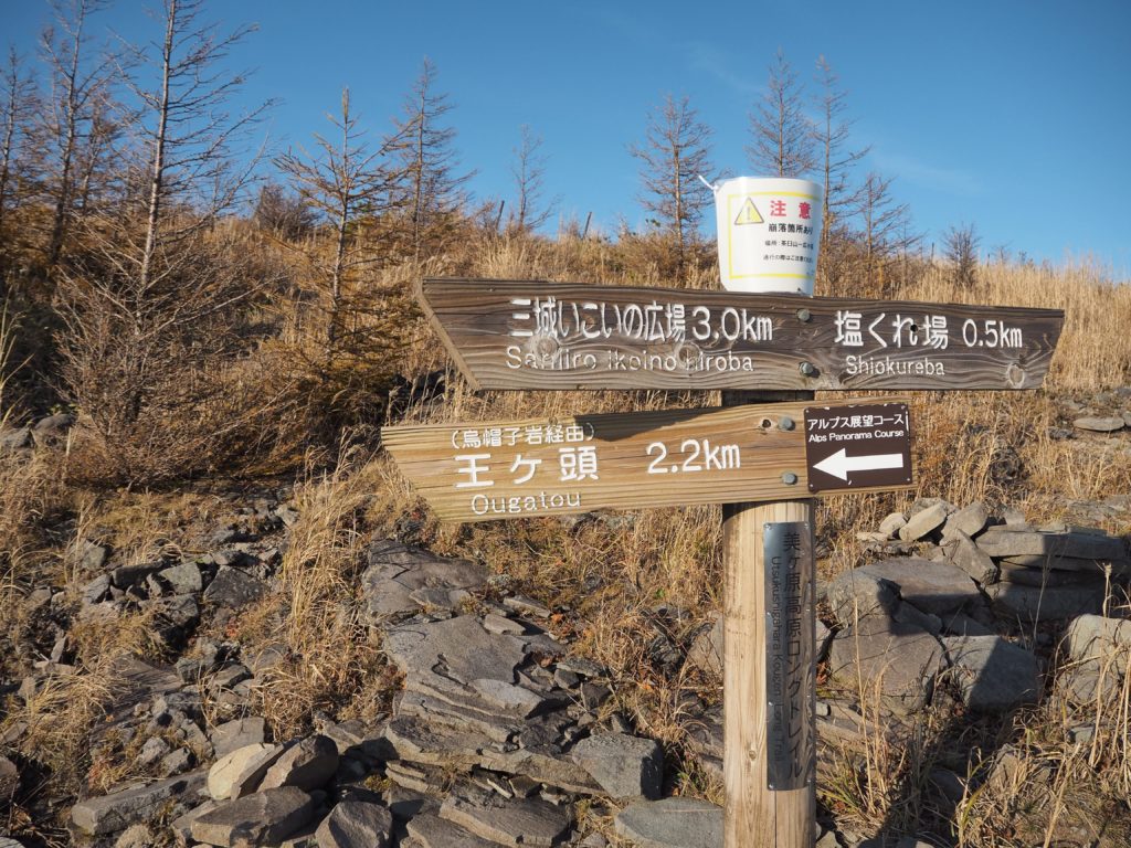 アルプス展望コース　分岐　標識